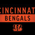 NFL Cincinnati Bengals Black Performance Series Dell Alienware Skin